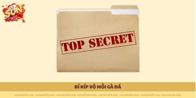 Bí kíp vô mồi gà đá