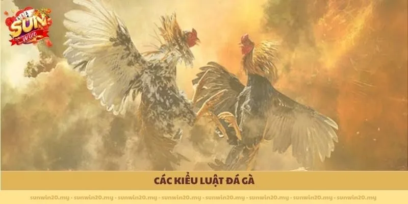 Các kiểu Luật Đá Gà