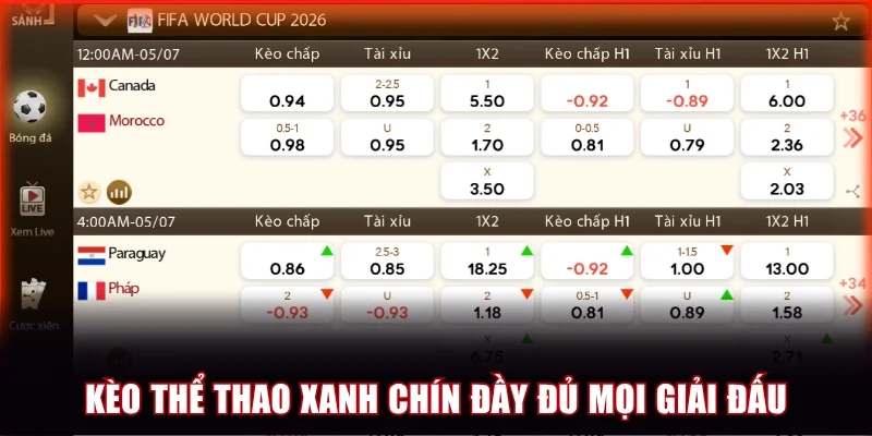 Kèo thể thao xanh chín đầy đủ mọi giải đấu