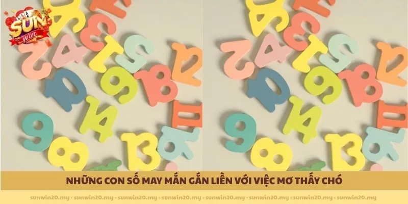 Những con số may mắn gắn liền với việc mơ thấy chó