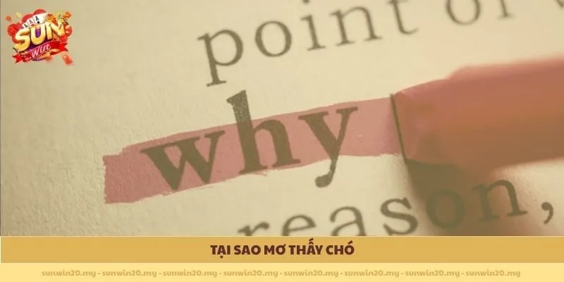 Tại sao mơ thấy chó