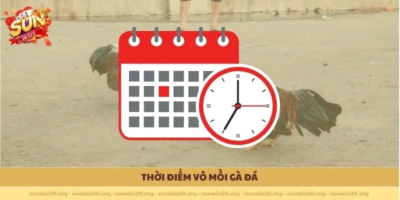 Thời điểm Vô mồi gà đá